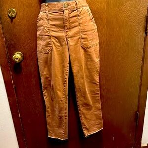 Democracy an technology brown pant